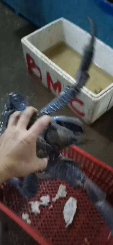 青山集团印尼纬达贝工业园区,青山集团印尼工业园区