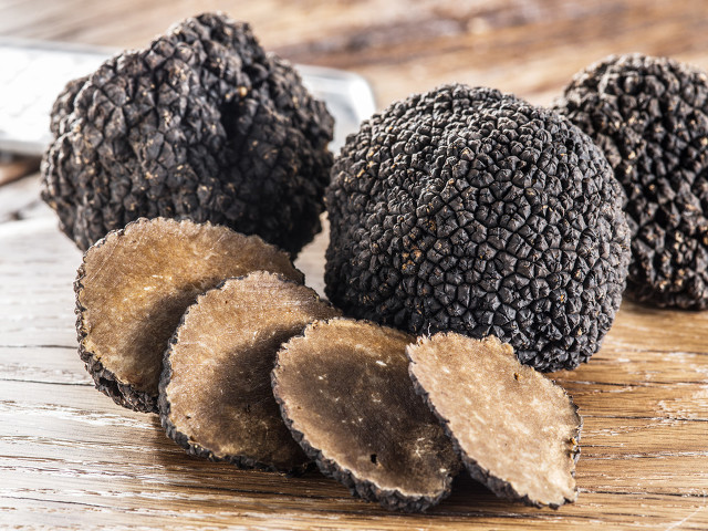 松露昂贵,松露价格大概是多少