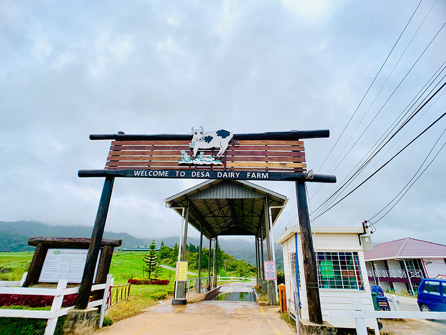 沙巴自由行超详细攻略 (沙巴攻略详细介绍)