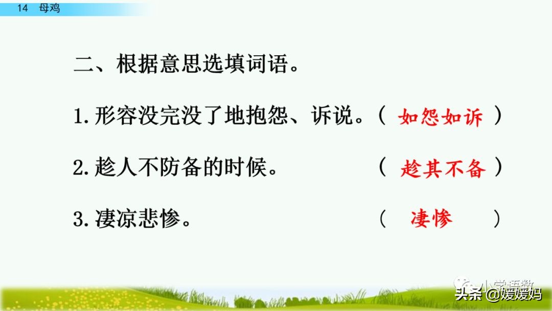 四年级下册第13课小练笔仿写母鸡,四年级下册14课母鸡的预习完整版