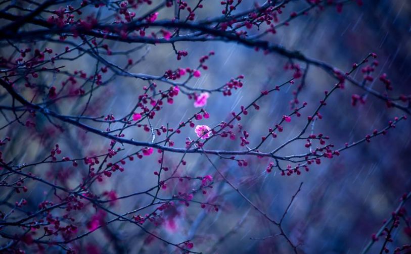 寄情于山水之间的唯美古诗词,寄情山水悠闲自得的诗词