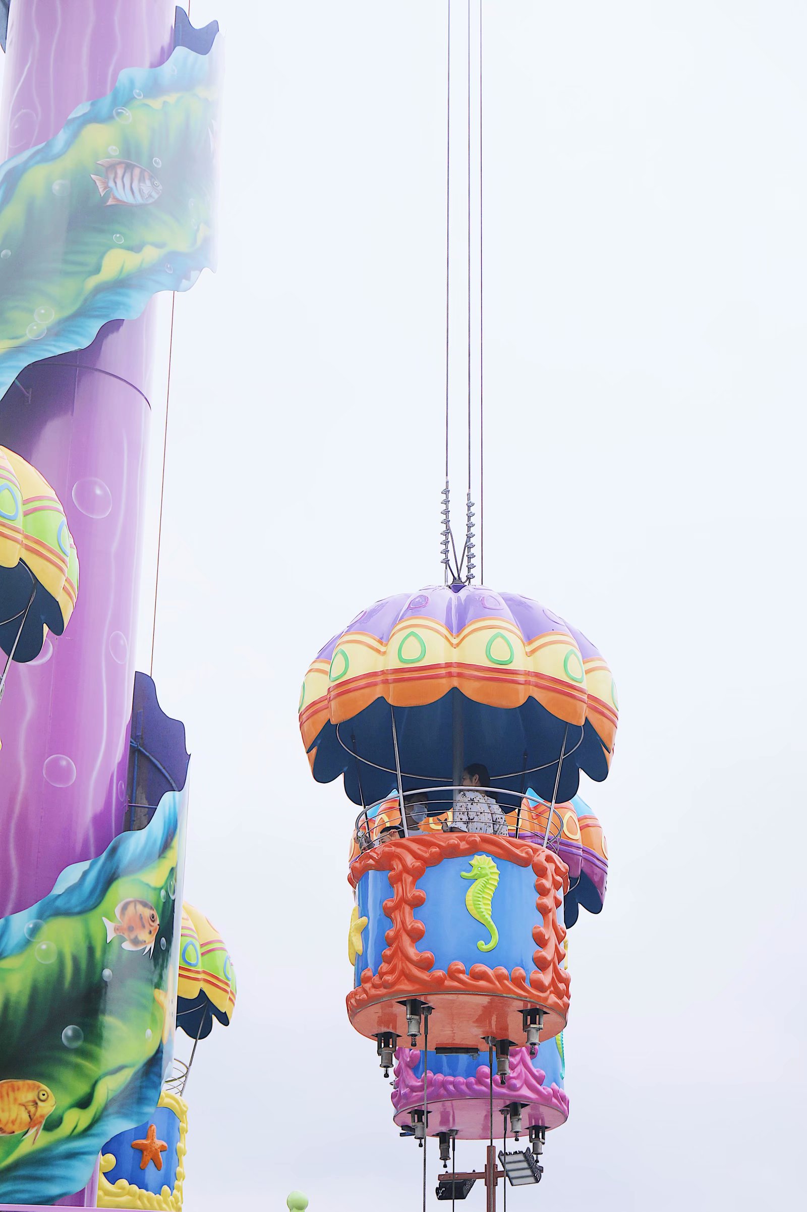 苏州乐园森林水世界几月份开始,乐园森林世界手游攻略