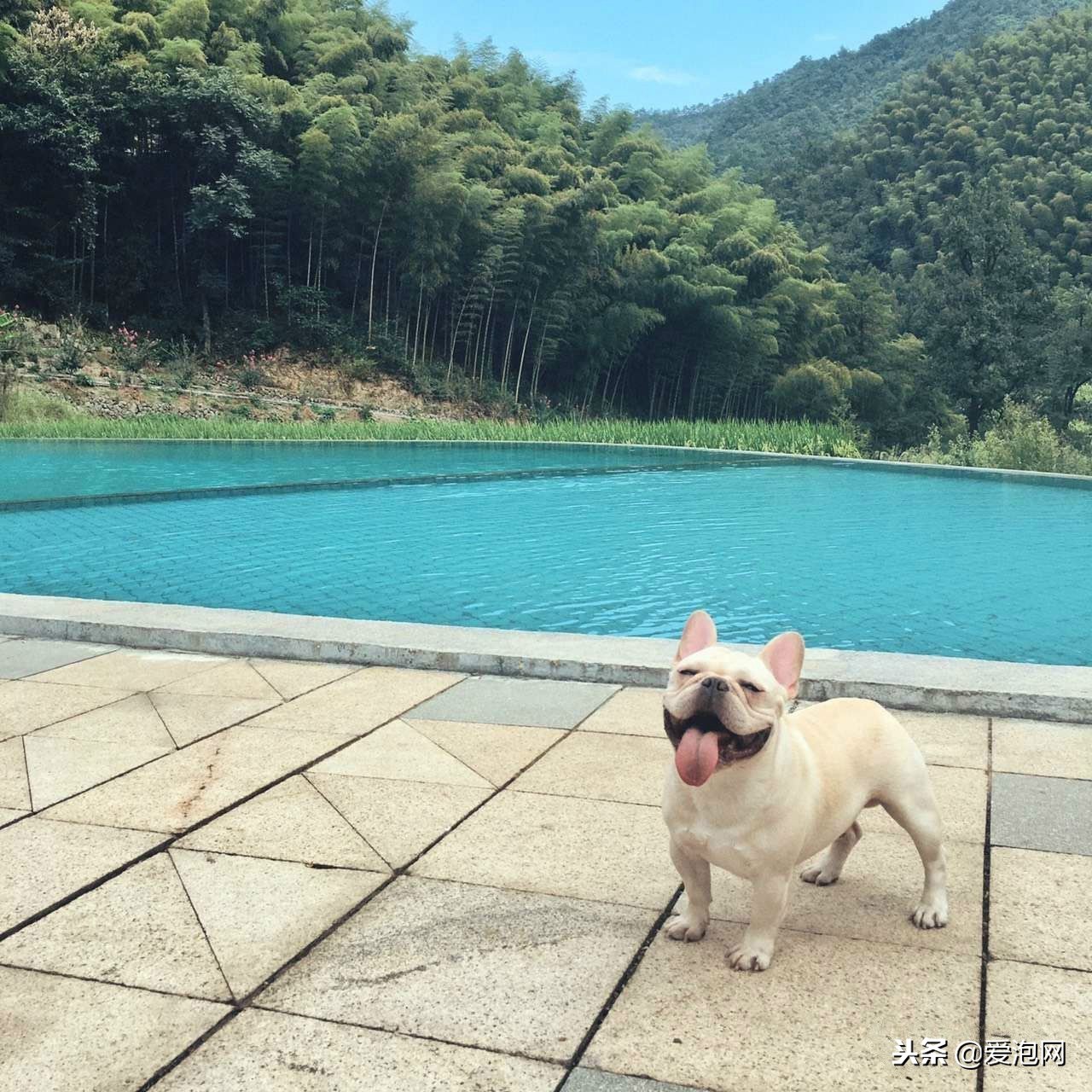 浙江桐庐独幽处温泉民宿,冬季桐庐风景好的民宿