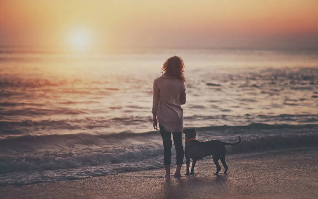 和男朋友分手想挽回怎么办,女生提出分手后怎么去挽回男朋友