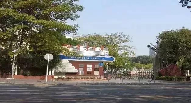 深圳哪所学校高中最好,深圳四大名校哪所最好