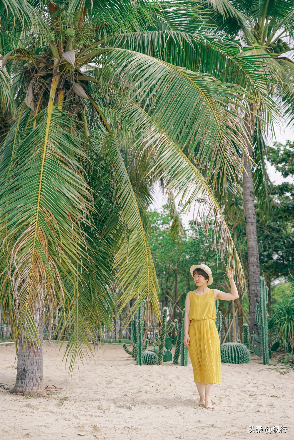 被猴子袭击，门票昂贵，拍照被轰，被我全程吐槽的三亚到底值不值