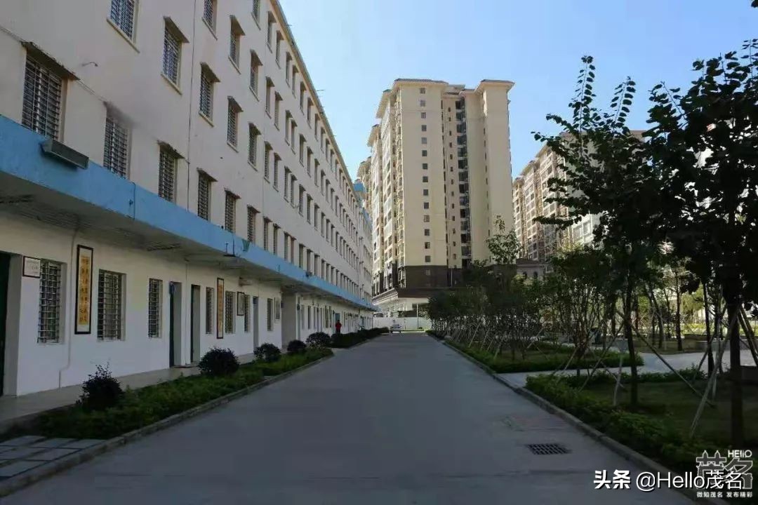 搴勫北涓,婊ㄦ捣鏂板尯搴勫北涓