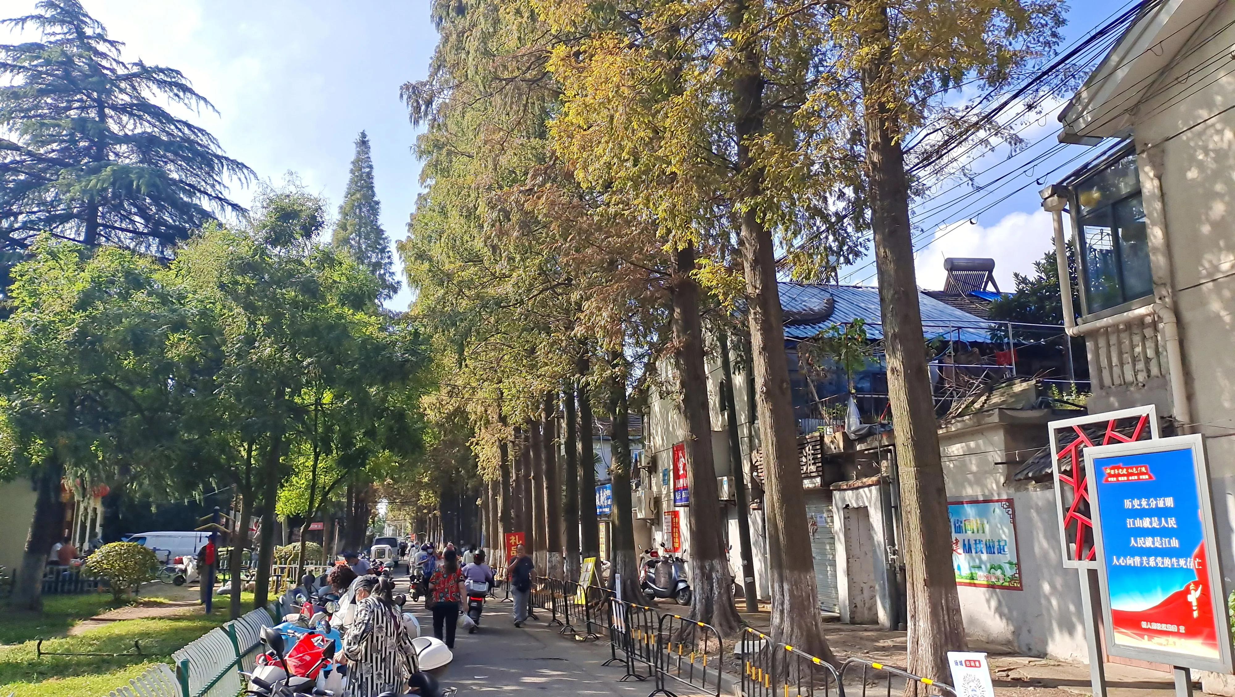 扬州石塔桥南改造,扬州石塔桥南停车