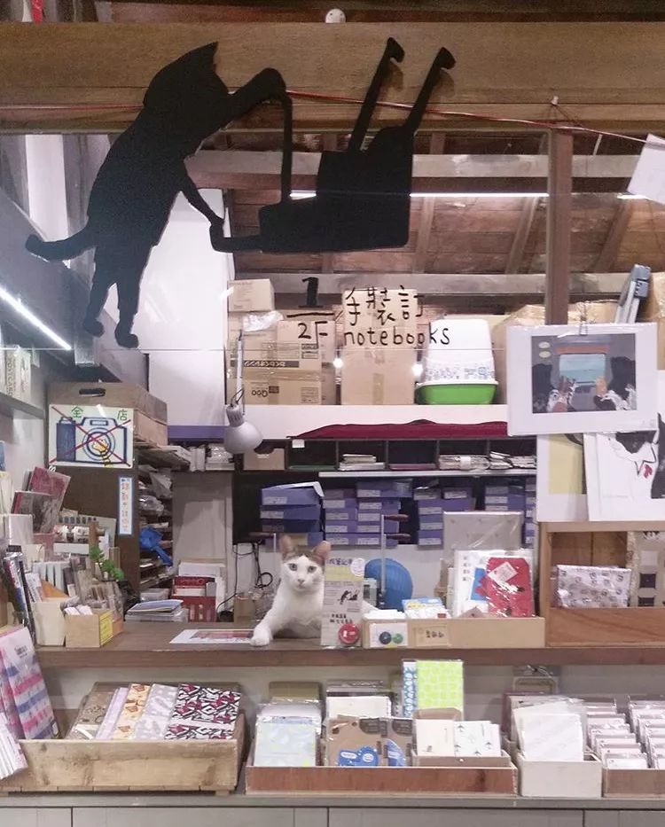 逛一次最贵的文具店,推荐的文具店