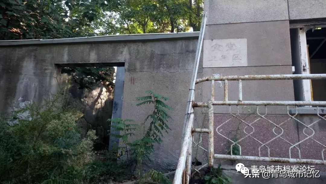 青岛的葡萄酒厂,1984年青岛的葡萄酒公司