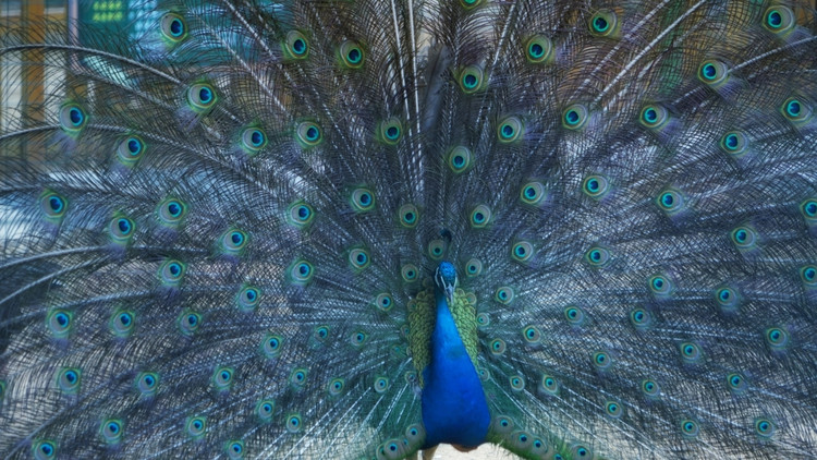 茅山宝盛园周边游玩,茅山宝盛园所有游乐设施