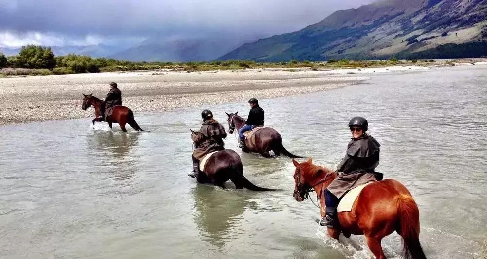 有着绝美迷人的“容颜”，却充满让*欲人**罢不能的速度野性与激情