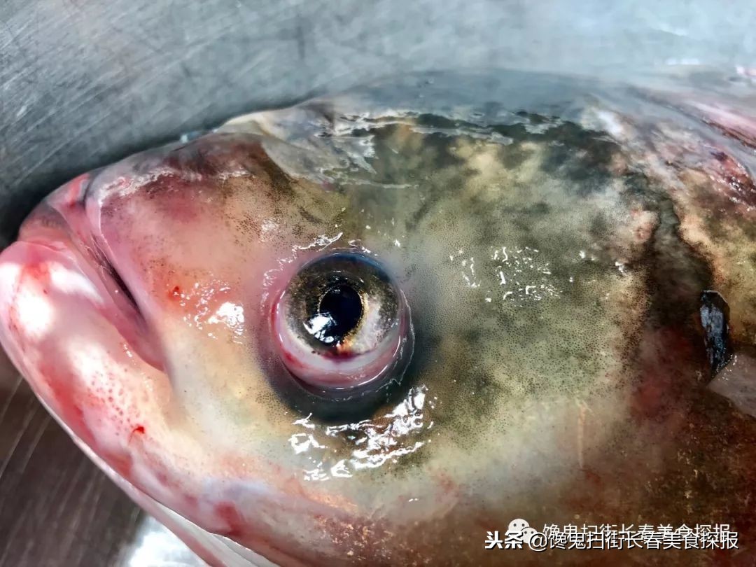 南湖别墅区藏个旧屯子，铁锅炖鱼天天爆满据说空姐都吃胖了！