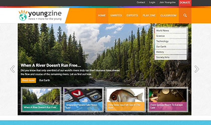 英语四级网课培训哪个网站好,国家免费人教版英语课程网站