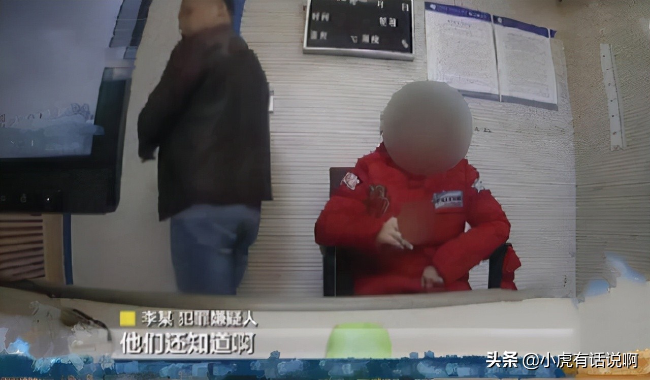 女子利用延误险漏洞,女子利用航班延误险5年赚300万