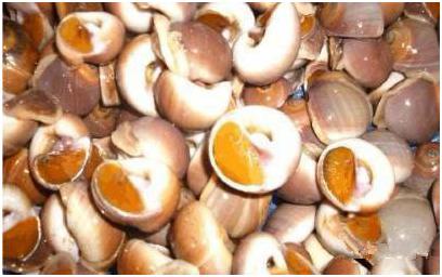 看图识海鲜，这些水产海鲜你都认识吗？