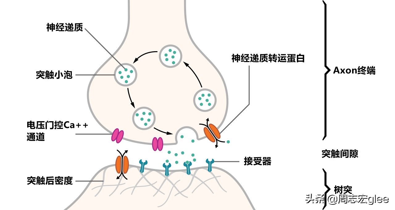 蚊虫叮咬一直痒怎样治,蚊虫叮咬越挠越痒怎么办