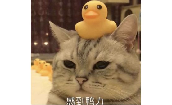 代沟搞笑视频,00后的代沟