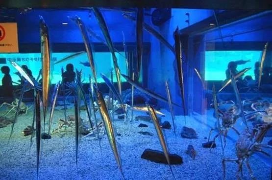 带鱼30元一斤,带鱼看着新鲜吃着不好吃