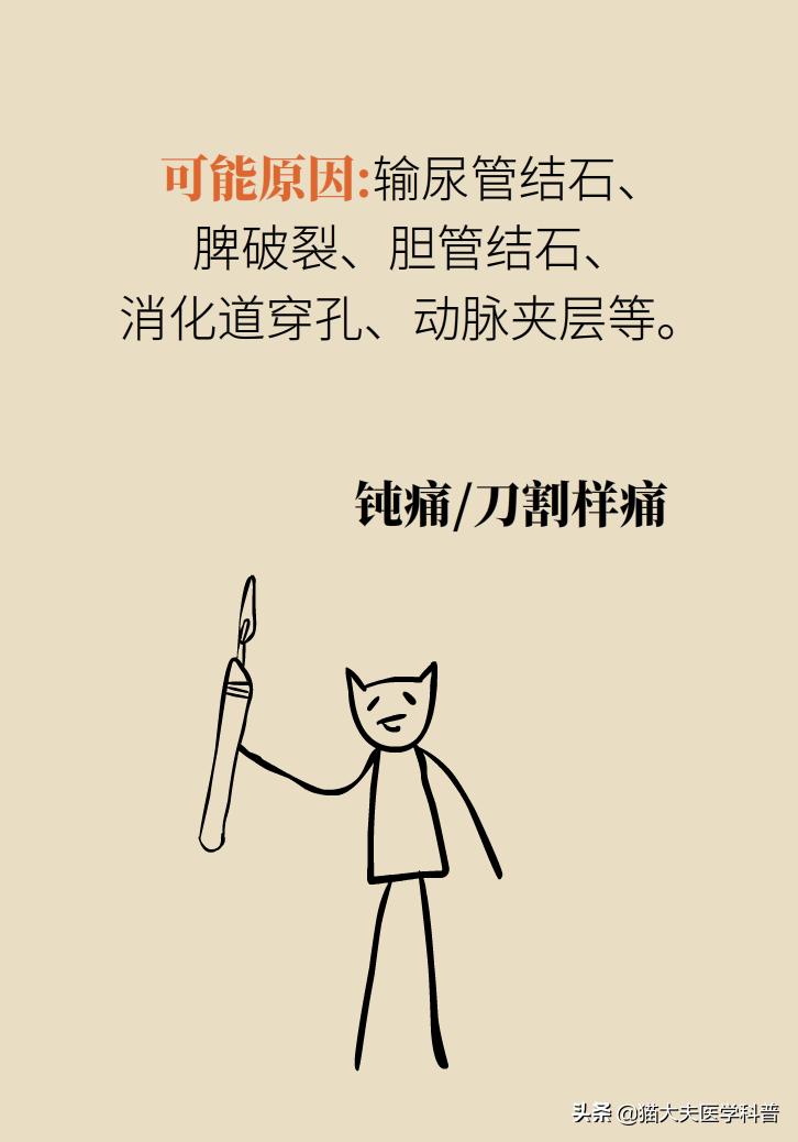 突然毫无征兆的肚子疼怎么办,肚子疼不是胃的问题还可能是什么