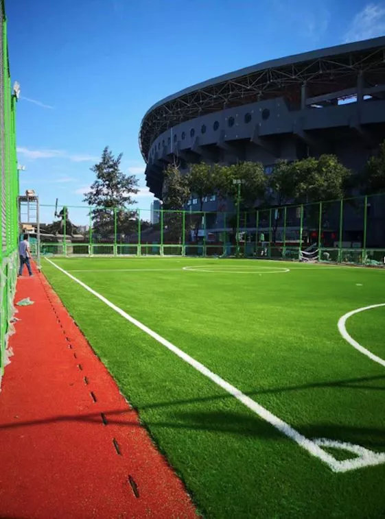 【FENG闻】想去踢球吗？这儿新建了8块笼式足球场！