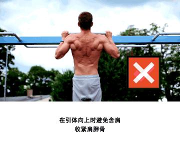 新手健身如何练力量训练动作,力量训练怎么出线条