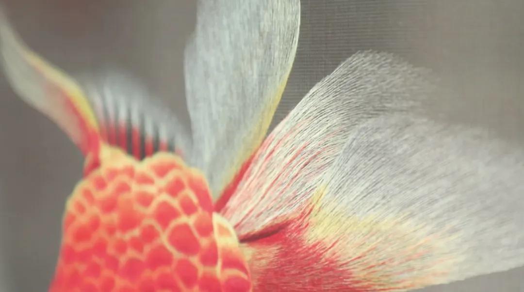 比头发丝还细的线精确到多少,比头发丝还细的丝