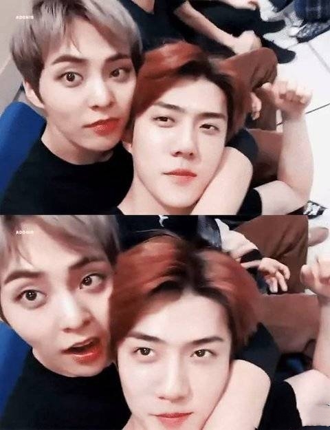 金珉锡韩网评价,金珉锡韩网