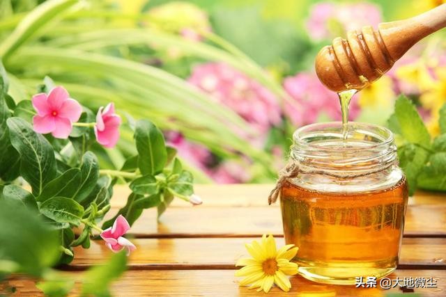 椴树洋槐紫云英蜂蜜哪个好,紫云英和洋槐蜂蜜哪个更好