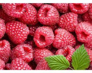 哈尔滨十大特产地图,哈尔滨龙珍东北特产地址