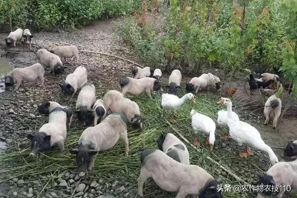 副业做房地产有什么前景,干了三年房地产转行干啥好