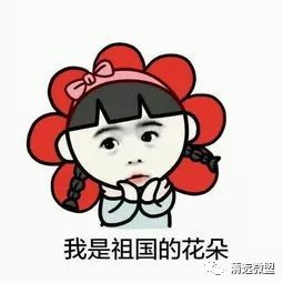 广东美食米其林,米其林上榜的中国菜