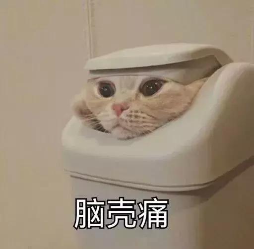 读博时怀孕了,读博生娃