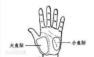 手掌有的地方发黄是不是肝有问题,手掌周围一圈黑是什么原因