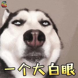 狗狗喘气是一种病态吗,狗狗明显喘气是什么原因