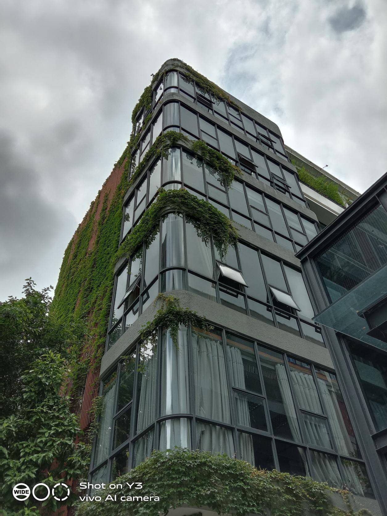 vivoy3标准版最好用的功能,vivoy3初桃粉好看吗