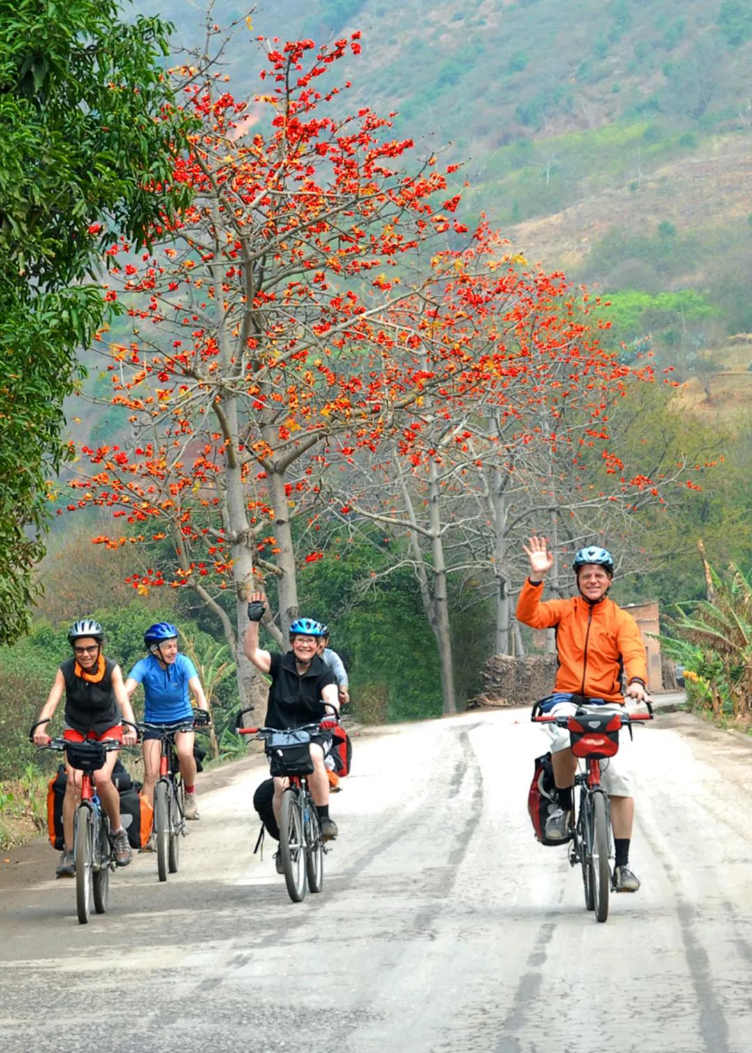 @个旧人，动起来！15分钟健身圈你打卡了吗？