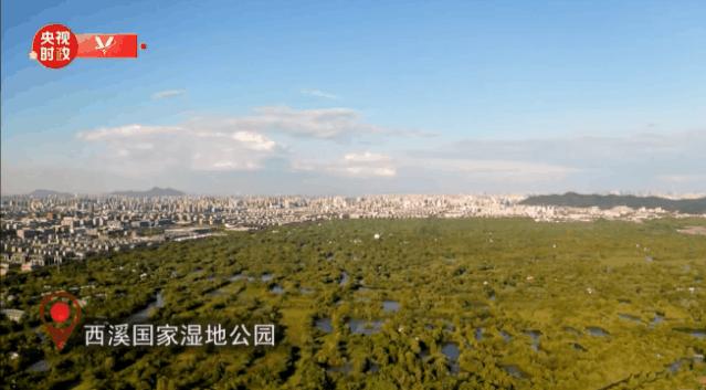 杭州印象城西溪店,杭州西溪印象城店景点