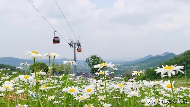 端午小长假去这四个地方玩,端午小长假适合去哪玩自驾游