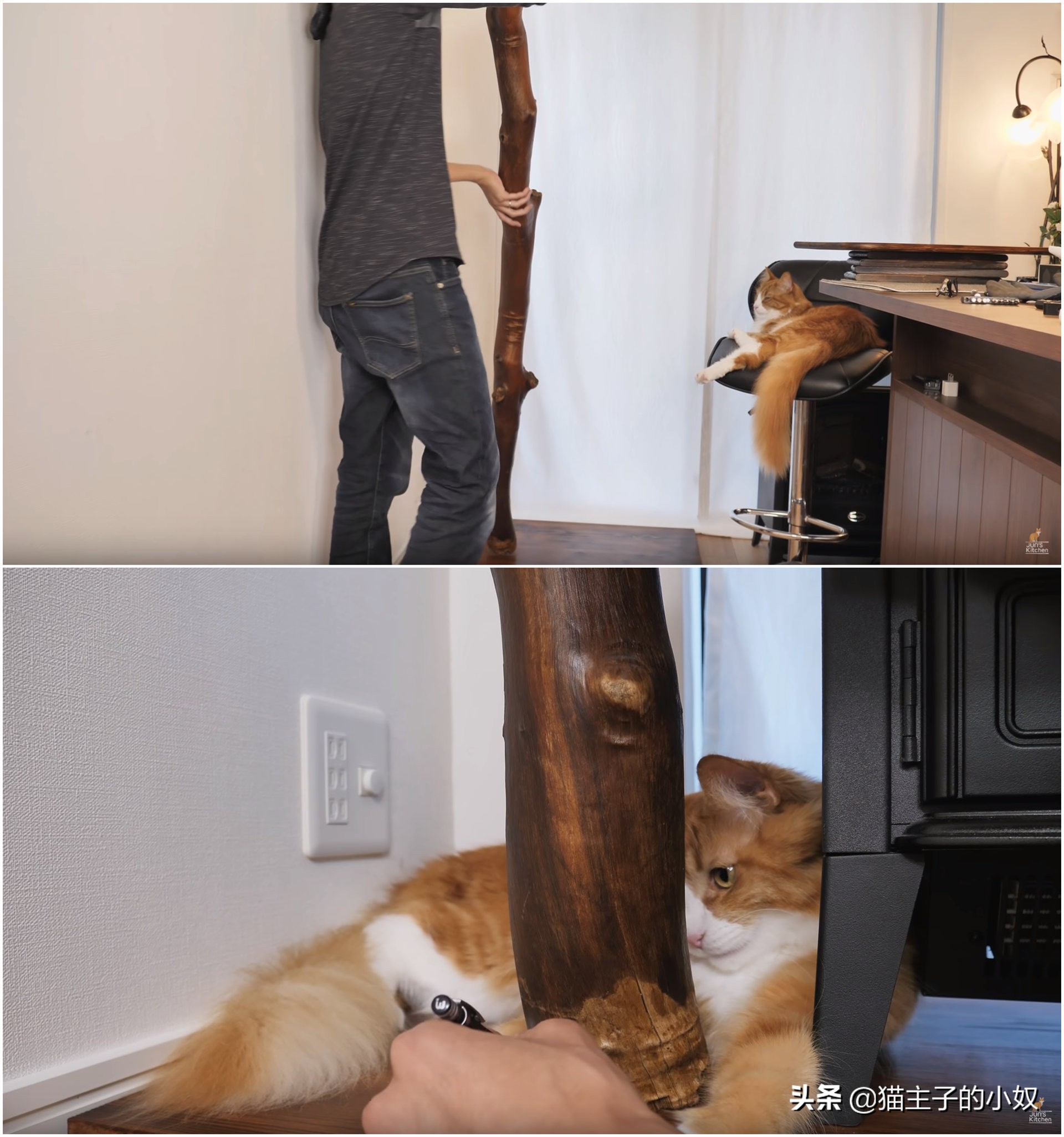 diy猫爬架大约需要什么材料,diy猫爬架材料清单