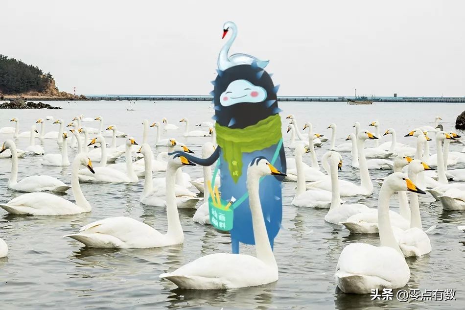 威海海钓兽:这座港口之城,不止有海产这么简单丨百城神兽图鉴