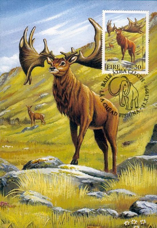 让人惊叹的动物有哪些,令人惊艳的17种动物绝对罕见