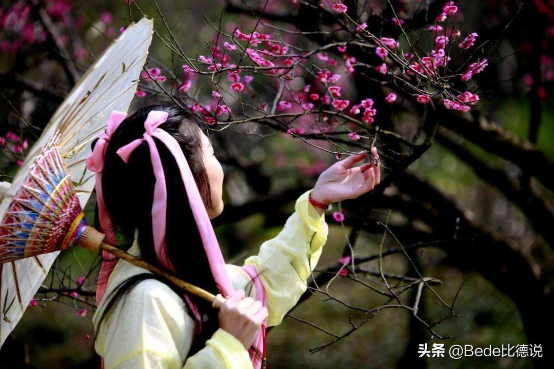 邵雍的梅花诗十大预言解析,邵康节十首预言诗