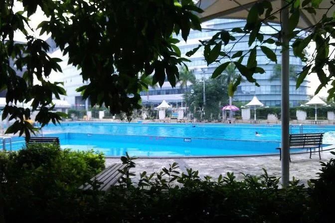 深圳宝安室外游泳池推荐,深圳游泳池场地推荐
