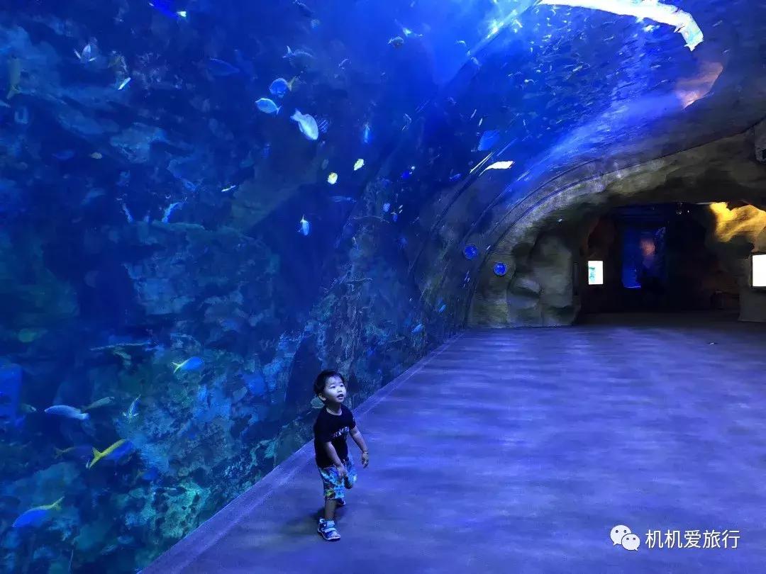 珠海和广州长隆旅游攻略,珠海长隆乐园游玩攻略