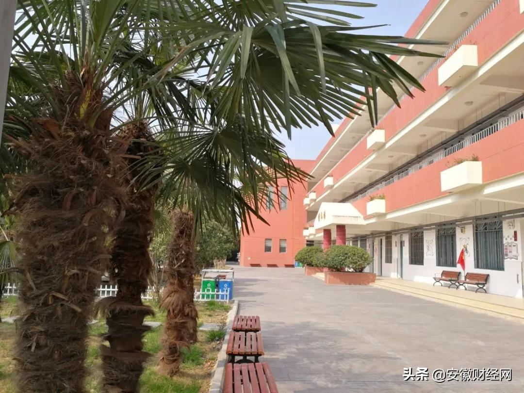 花都开好了现场完整版,花都开好了合唱合拍