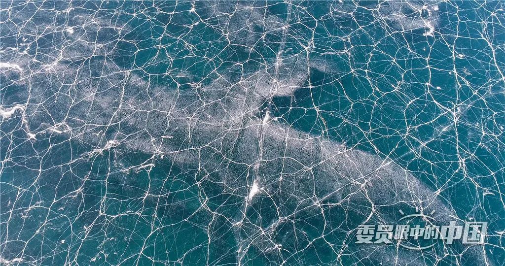 美丽中国中国篇,美丽中国双碳有我主题范文800字