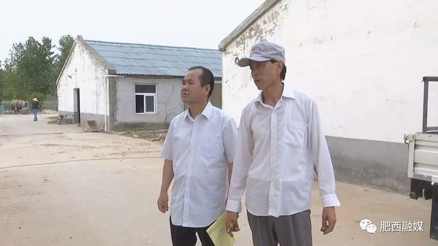 「壮丽70年奋斗新时代」肥西县农业农村局高级畜牧师董辉:开拓创新助推标准化养殖