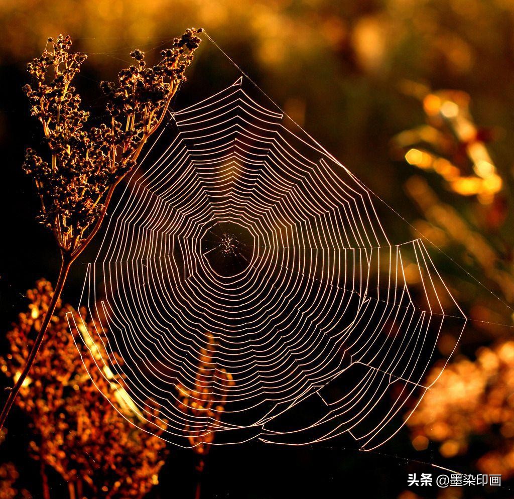 发现身边的旋律,发现身边自然之美