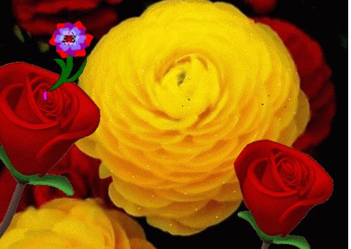 30张动图图片,会动的照片简直绝美